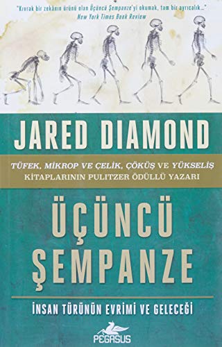 Üçüncü Sempanze